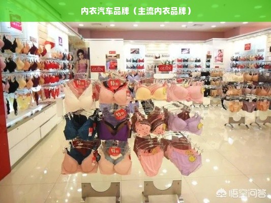 内衣汽车品牌（主流内衣品牌）