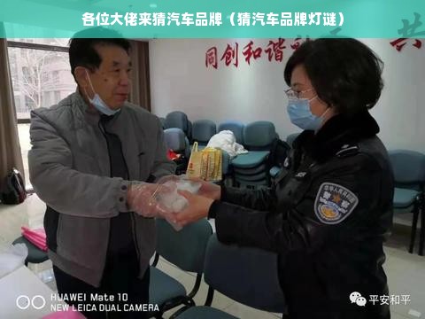 各位大佬来猜汽车品牌（猜汽车品牌灯谜）