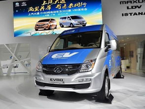 国内发现最早的汽车品牌（国内发现最早的汽车品牌是什么）
