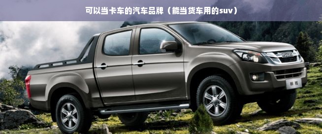 可以当卡车的汽车品牌（能当货车用的suv）