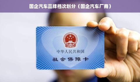 国企汽车品牌档次划分（国企汽车厂商）