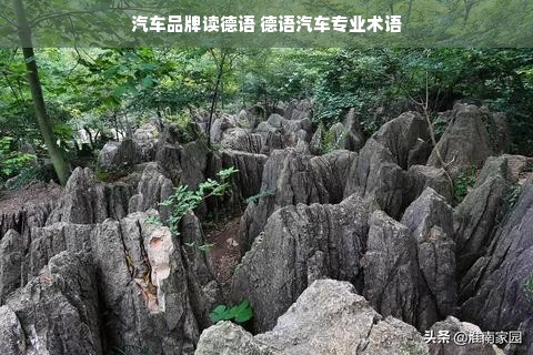汽车品牌读德语 德语汽车专业术语
