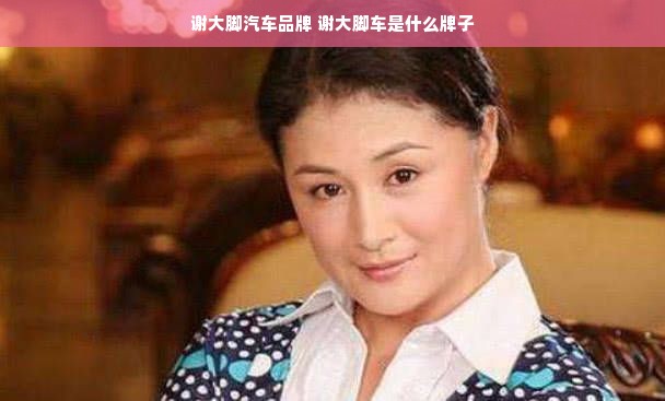 谢大脚汽车品牌 谢大脚车是什么牌子