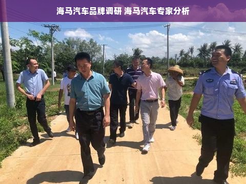 海马汽车品牌调研 海马汽车专家分析