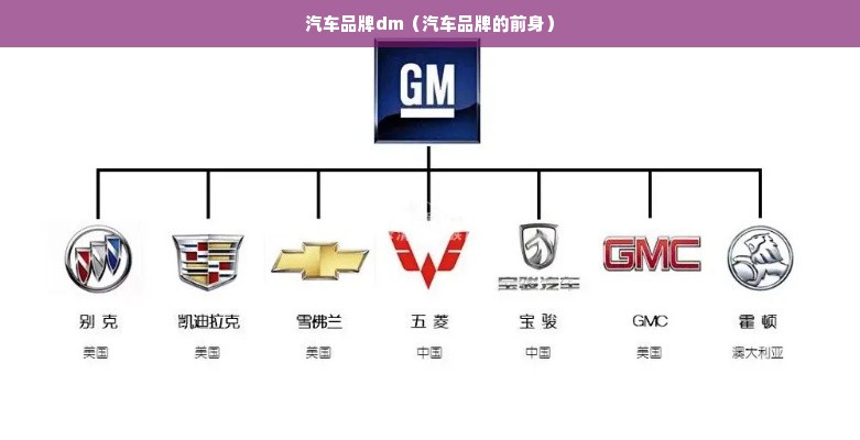 汽车品牌dm（汽车品牌的前身）