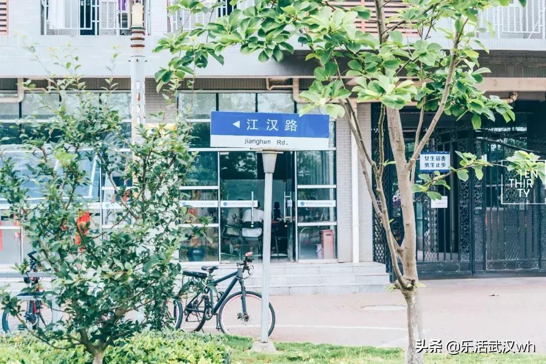 黄金口汽车品牌，闪耀全球的汽车之星