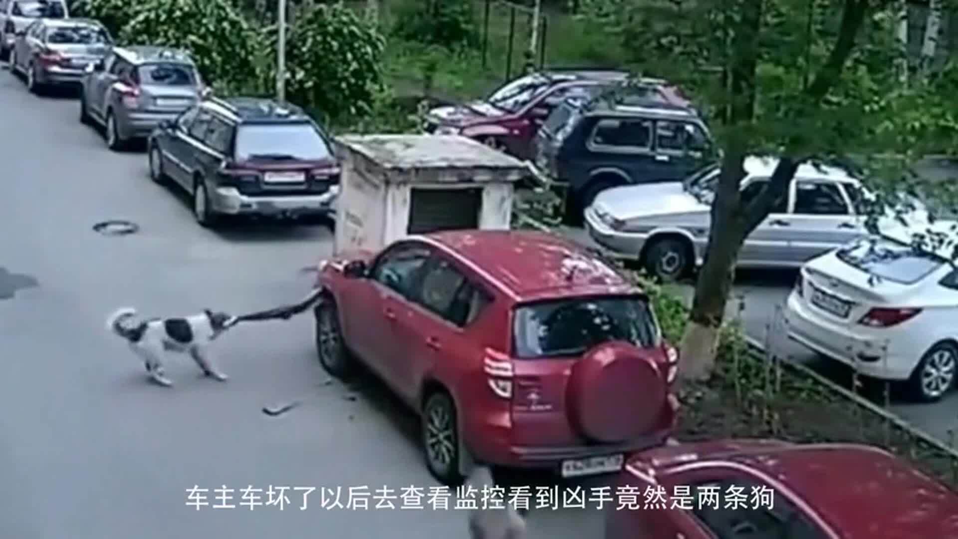 惹毛汽车品牌,谁动了我的奶酪?