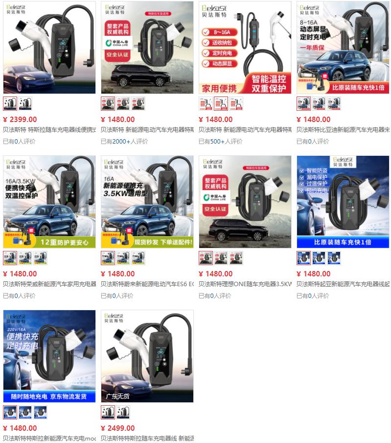 国内充电汽车品牌