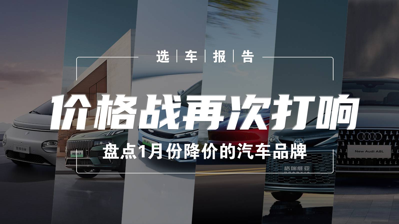 价格战汽车品牌