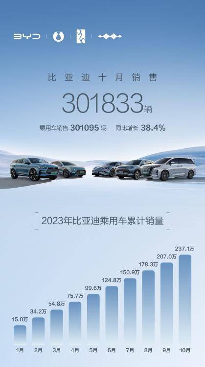 比亚迪汽车品牌的前景，驶向绿色智能的未来