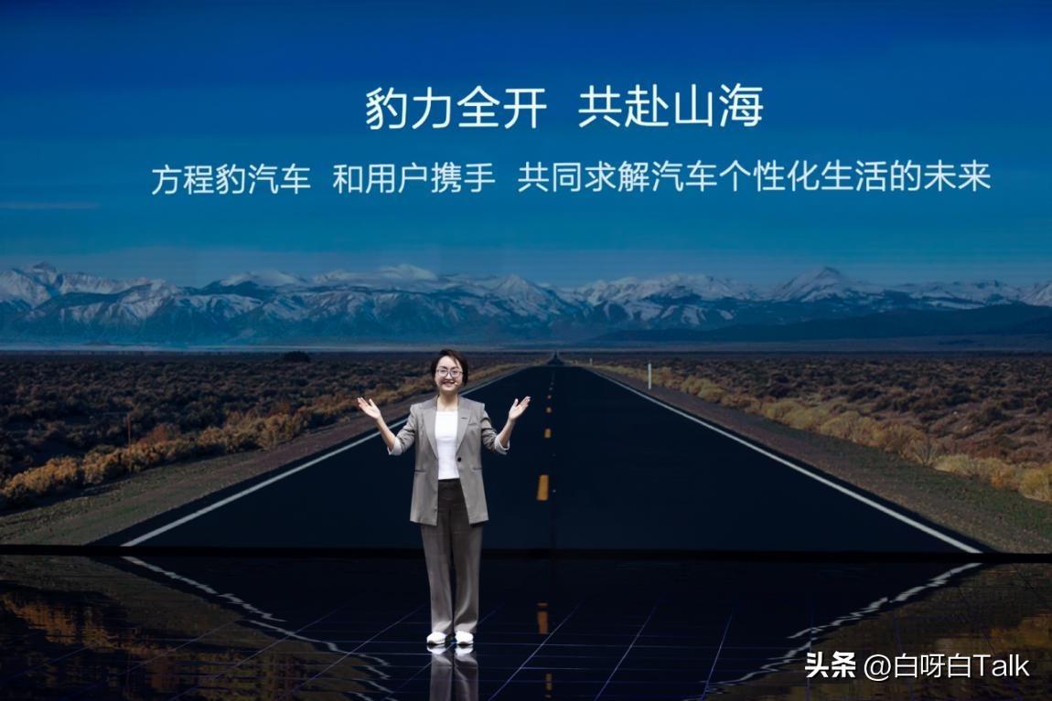汽车品牌，子豹