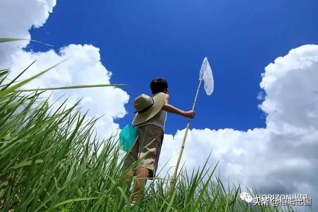 绿意盎然的童年——探索男童汽车品牌衣服的魅力