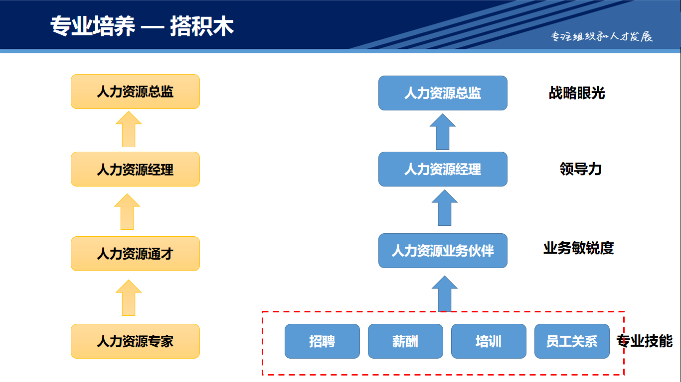 汽车品牌入职指南，如何加入并开启职业生涯新篇章