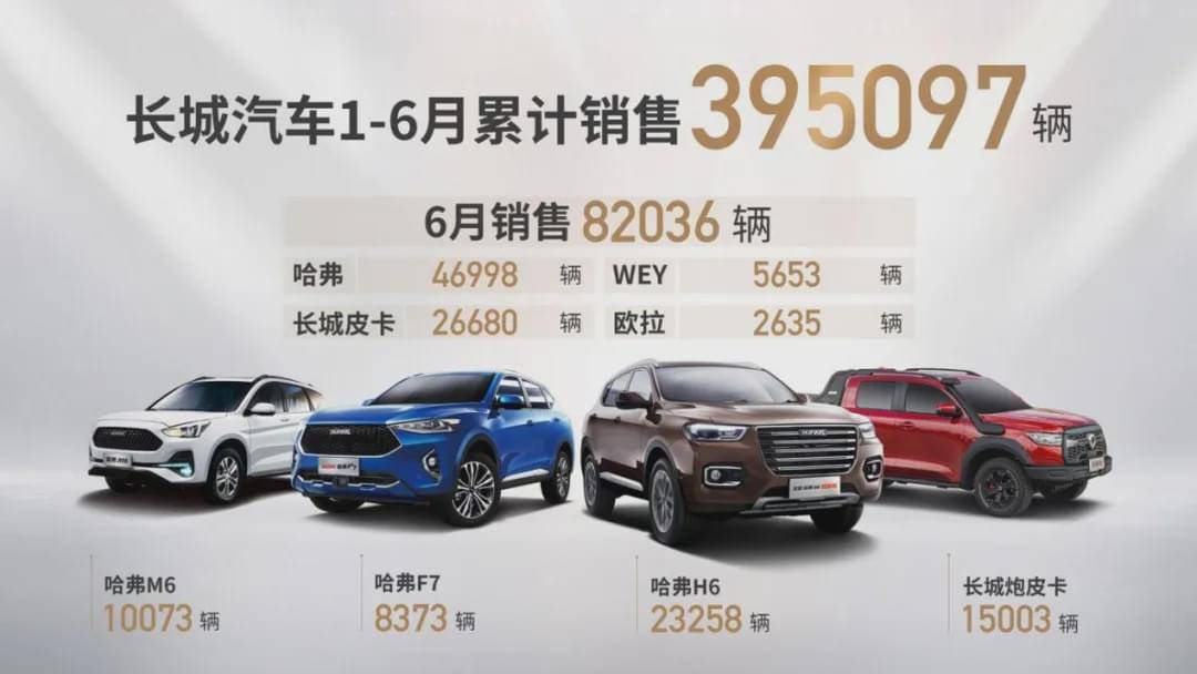 新疆销量之王——揭秘新疆汽车市场的霸主