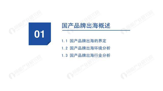 戴旭视角下的汽车品牌，深度解析与未来展望