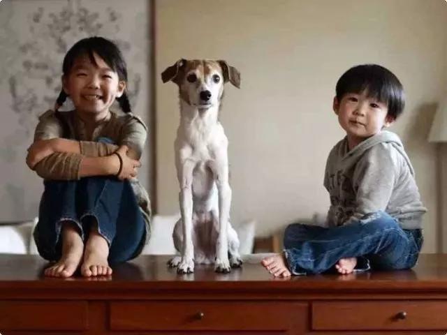 日本经济奇迹，为何难以负担汽车品牌