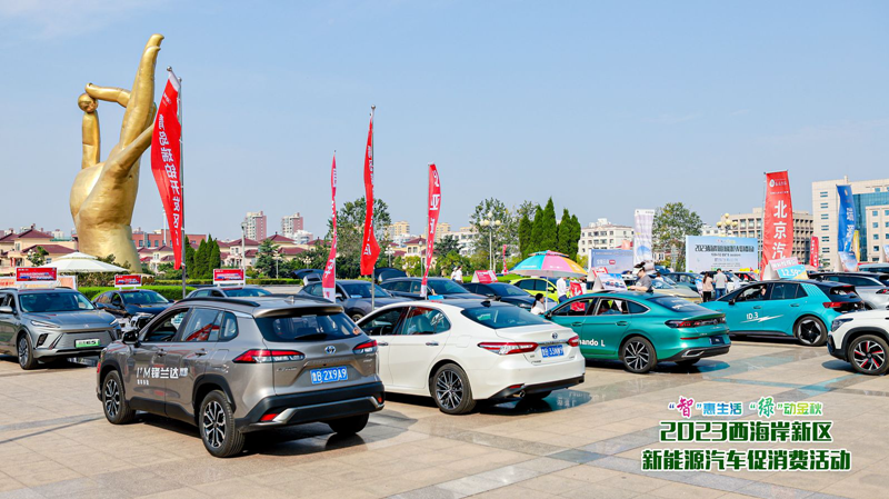 特困户的汽车梦，汽车品牌如何助力逆袭之路