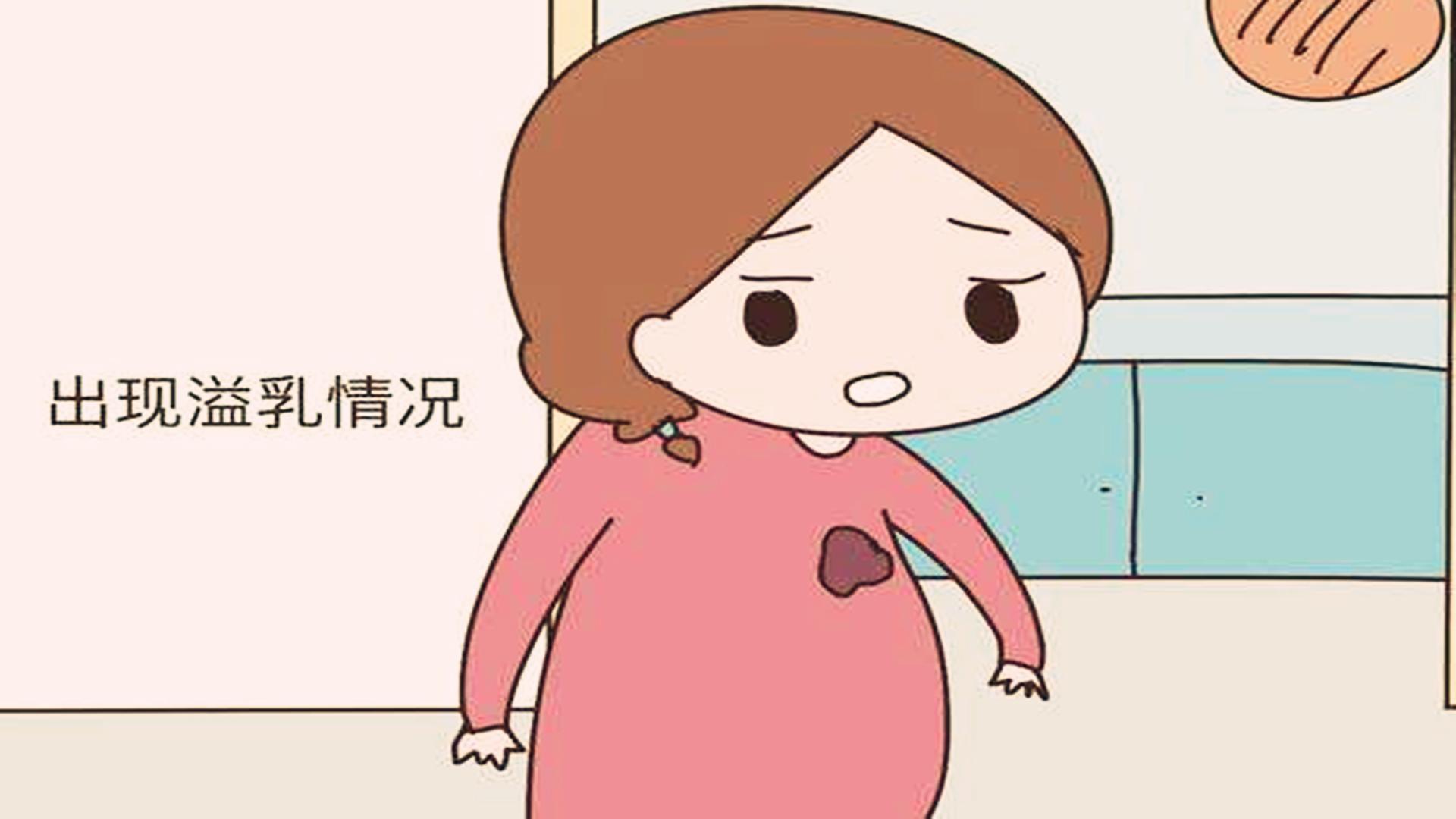 内衣汽车品牌排行榜，揭秘奢华与实用兼备的现代出行新选择