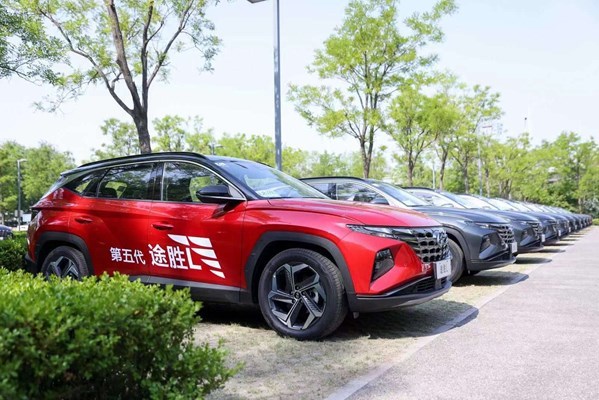 探寻绿色驾驶的潮流——薄荷绿汽车品牌概览