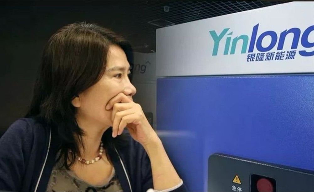 董明珠研发汽车品牌，挑战与创新之路
