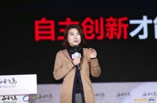 董明珠研发汽车品牌，挑战与创新之路