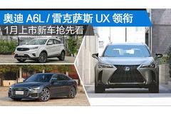 龙岩汽车品牌大盘点