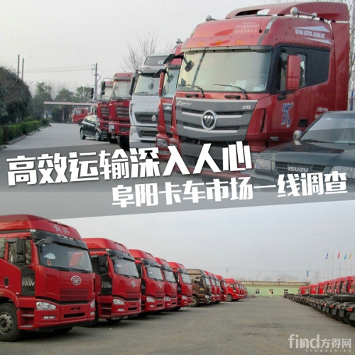 安徽阜阳汽车品牌销量解析