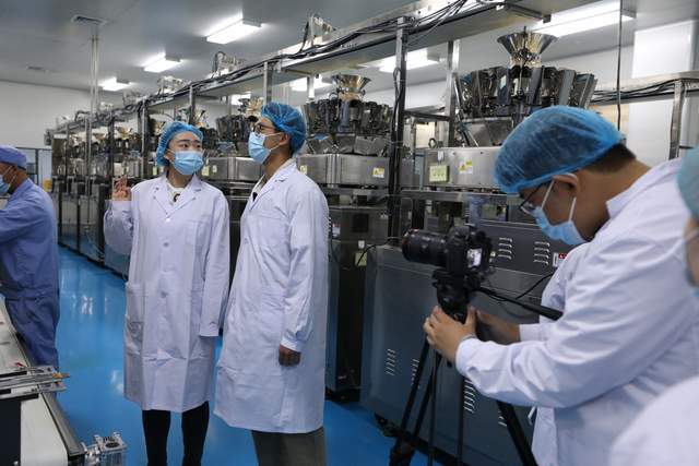 中班科学，走进汽车世界的品牌之旅