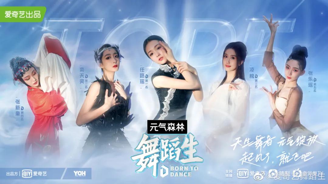 灵动驾驭，品牌新纪元