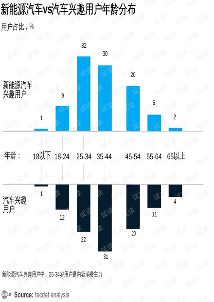 新能源汽车品牌洞察，趋势、挑战与成功案例