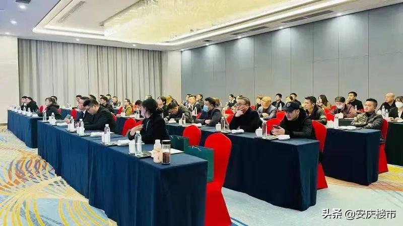 安庆曾经的汽车品牌，历史与变迁