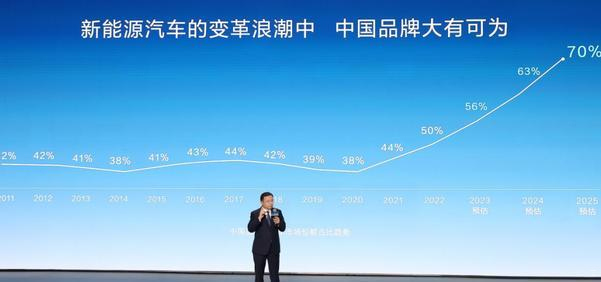 国产不用充电汽车品牌，革新力量与未来展望