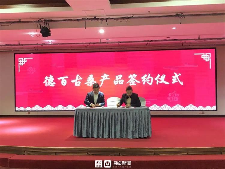 夏津的汽车品牌大盘点