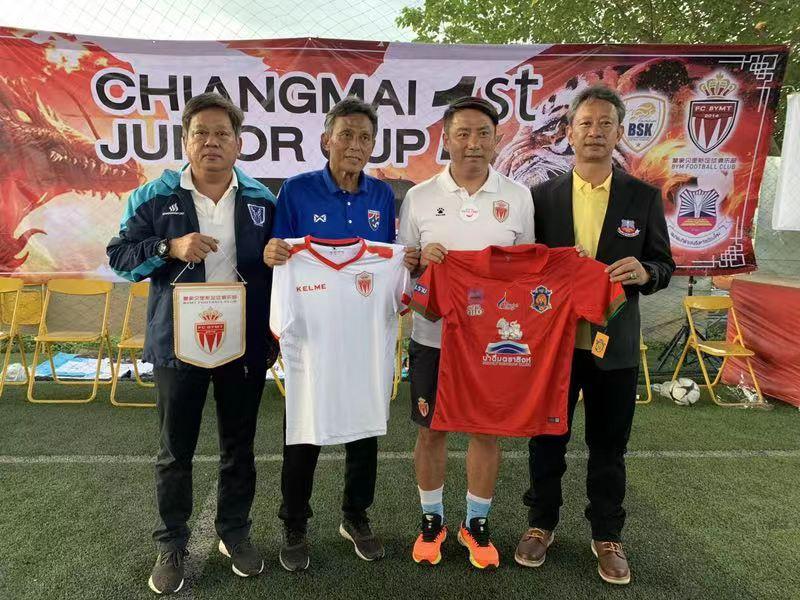 国产汽车品牌泰，崛起之路与辉煌成就