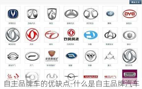 自主汽车品牌优缺点深度解析