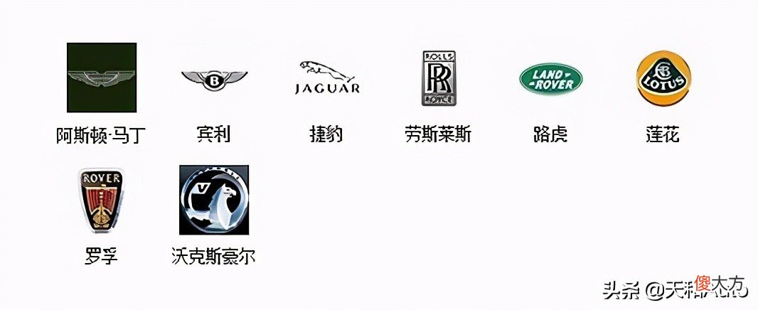男人必备的汽车品牌，深度解析与实例探究
