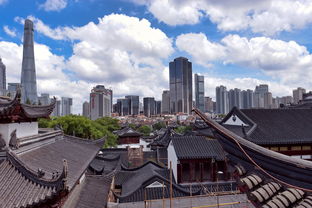 上海高档小区汽车品牌之选—品牌案例与市场分析