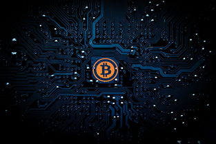 揭秘花呗提现背后的钱景，如何从虚拟消费到现实现金