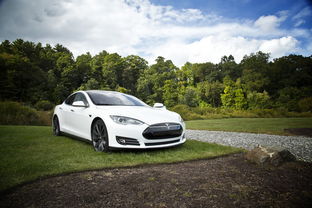 特斯拉（Tesla）