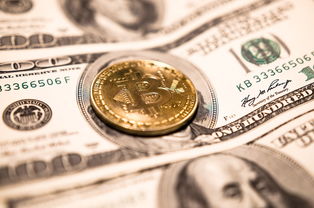 白条提现攻略，轻松取出你的现金，不再为资金周转发愁！
