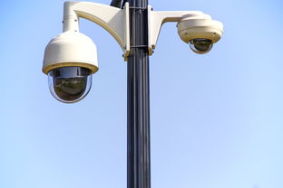 汽车品牌调研价格分析图，全面透视汽车市场的价格动态