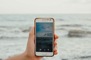 抖音月付提现，能否转账给他人？揭秘操作与注意事项