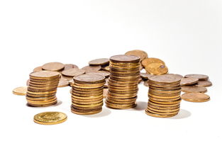 白条提现公积金贷款，轻松实现资金周转的新选择