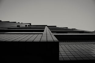 汽车与高塔，现代工业的双螺旋