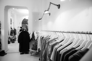 化妆品牌与汽车品牌图谱，时尚与品质的完美融合
