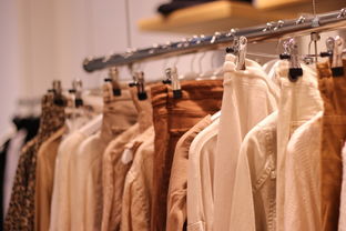 女士服装品牌与汽车品牌搭配指南