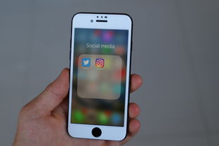 iPhone版陌陌聊天记录，揭秘社交背后的点点滴滴