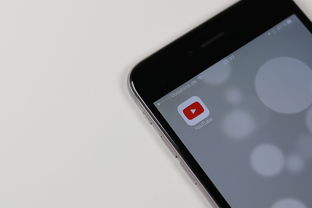 iPhone版陌陌聊天记录，揭秘社交背后的点点滴滴