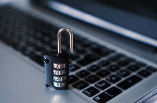 揭秘微信查人开房记录，隐私保护与信息安全的双重挑战
