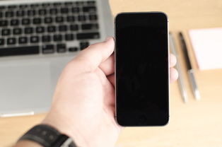 轻松查询，一键掌握—宾馆入住记录查询APP体验分享